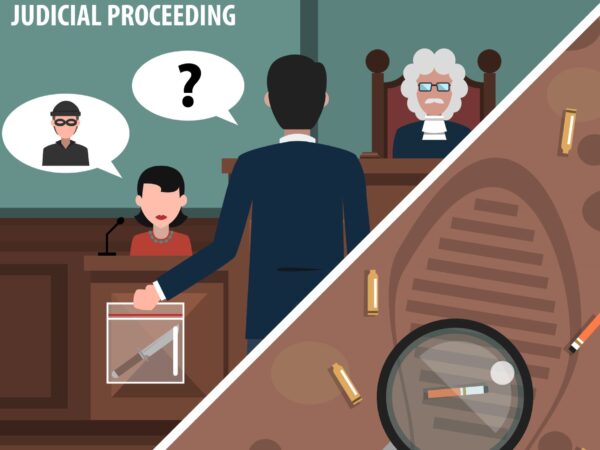 Using Evidence Visual in Court: Best Practices